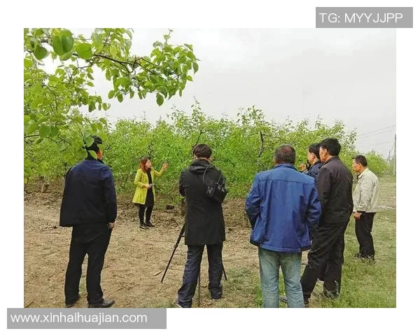 蒲城县男子足球比赛直播精彩瞬间回顾与赛程安排全解析